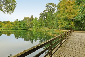 Die Friedrichsau